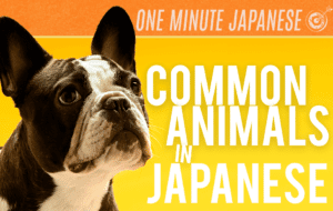 common animals names in Japanese