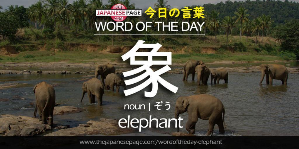 The Japanese Page Word of The Day - Elephant