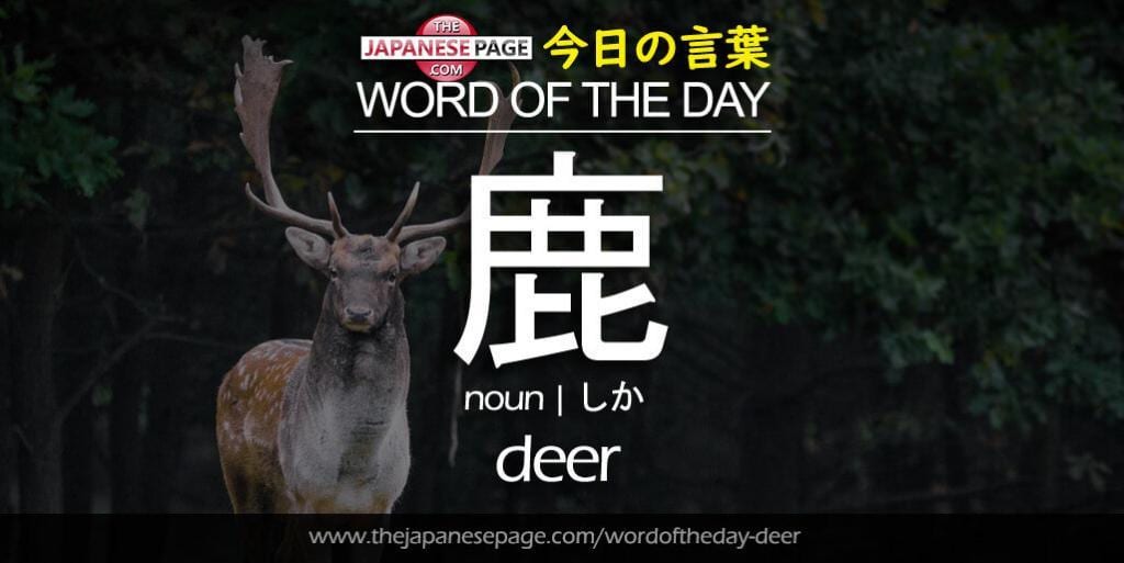 The Japanese Page Word of The Day - Deer