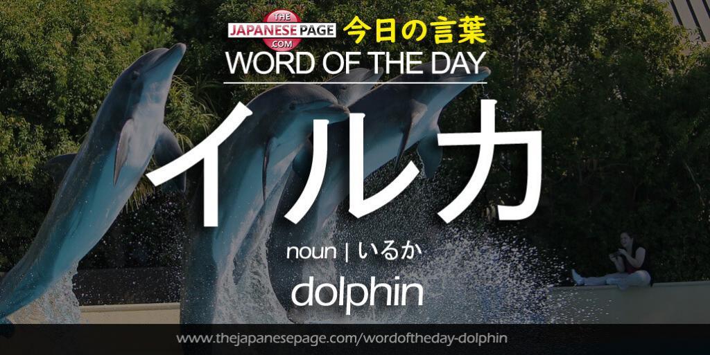 The Japanese Page Word of The Day - Dolphin