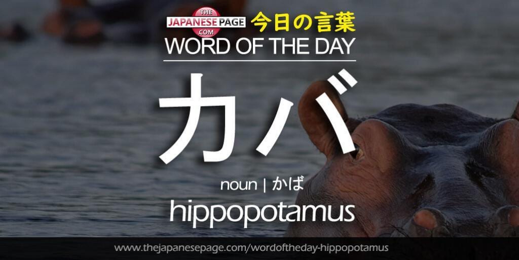 The Japanese Page Word of The Day - Hippopotamus