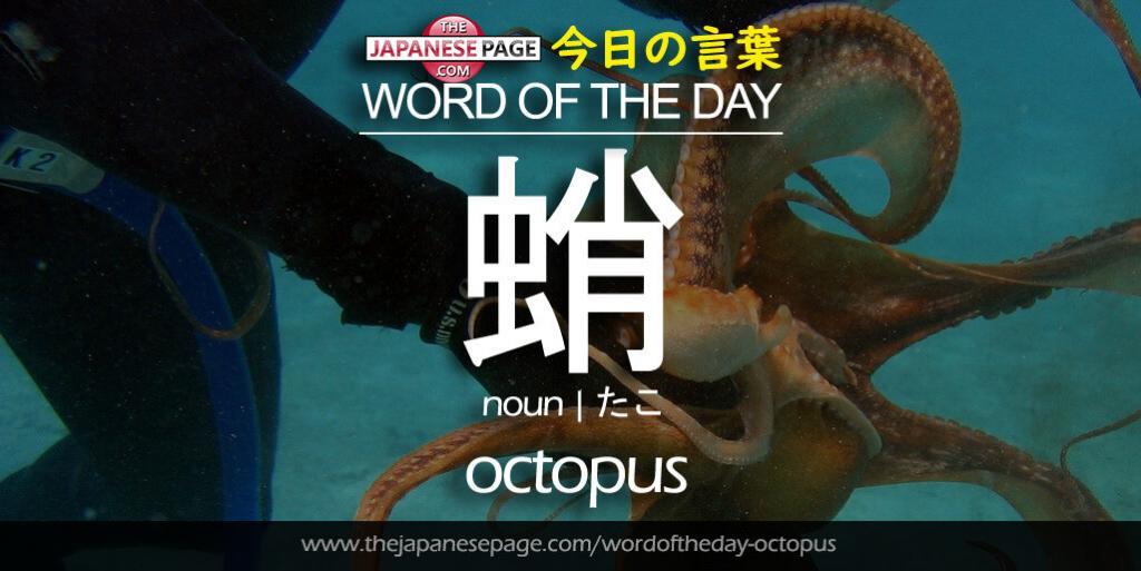 The Japanese Page Word of The Day - Octopus