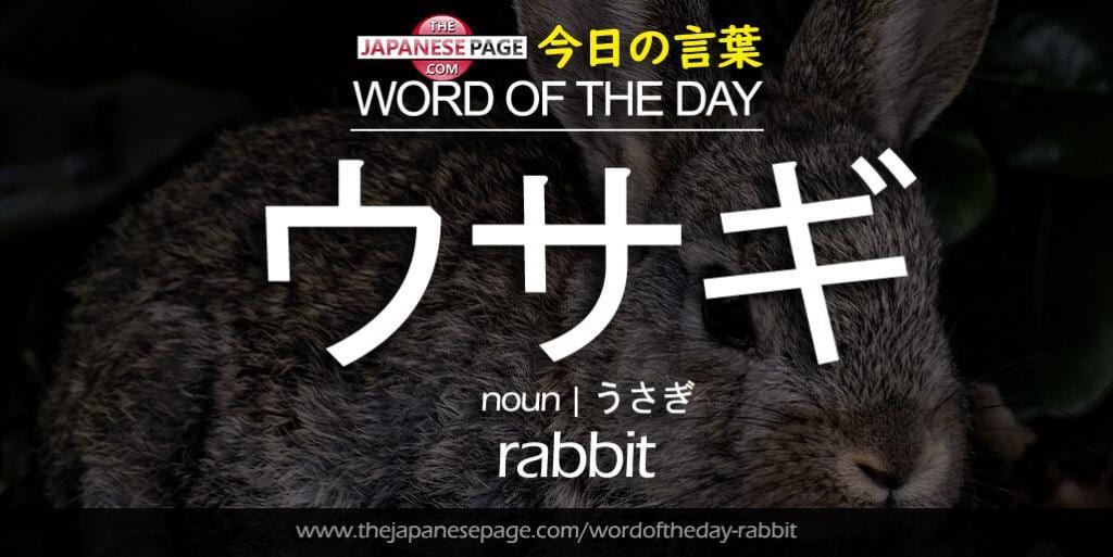 The Japanese Page Word of The Day - Rabbit