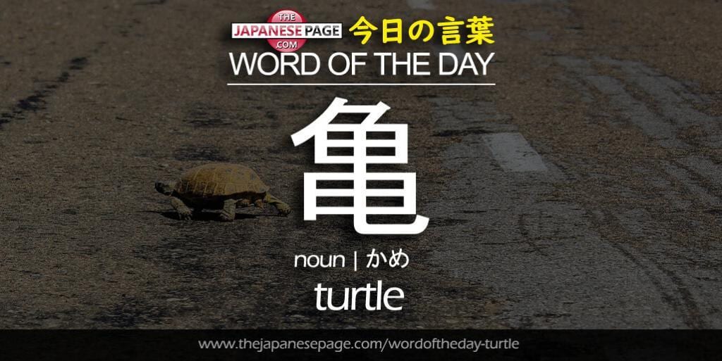 The Japanese Page Word of The Day - Turtle