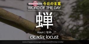 The Japanese Page Word of The Day - Cicada
