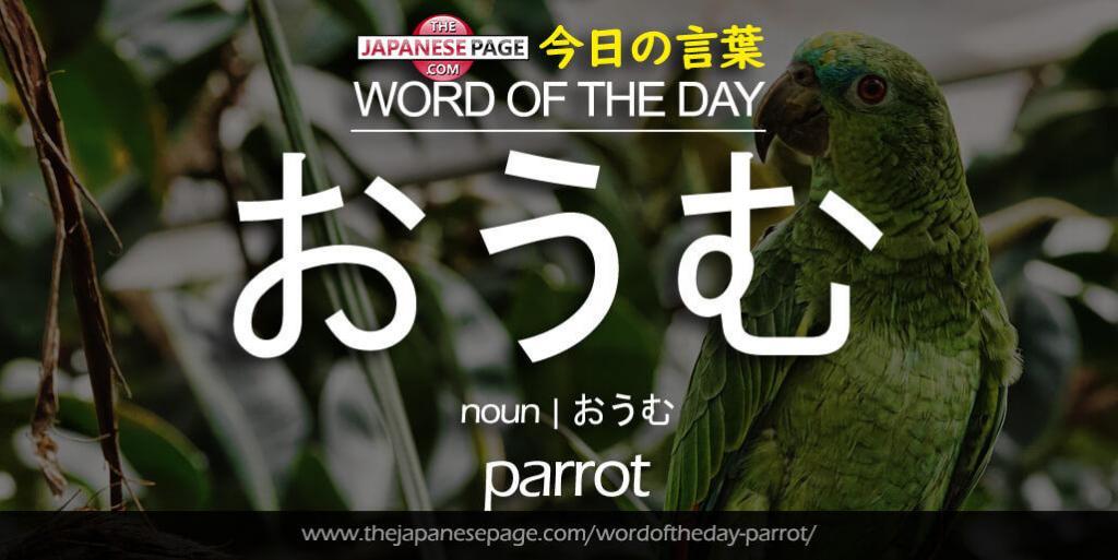 The Japanese Page Word of The Day - Parrot