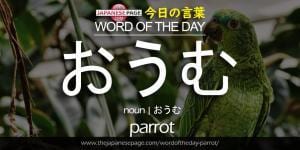 The Japanese Page Word of The Day - Parrot