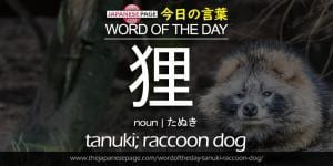 The Japanese Page Word of The Day - Tanuki, Racoon Dog