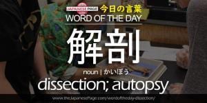 The Japanese Page Word of The Day - Dissection, Autopsy
