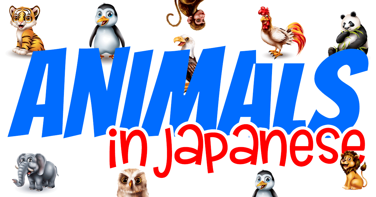 Zoo Animals Names in Japanese | Learn Japanese Online